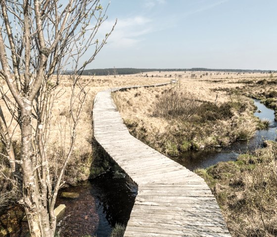 Steg im Hohen Venn, © StädteRegion Aachen