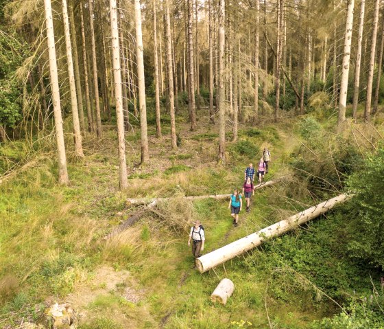 Hike with a ranger, © D. Ketz