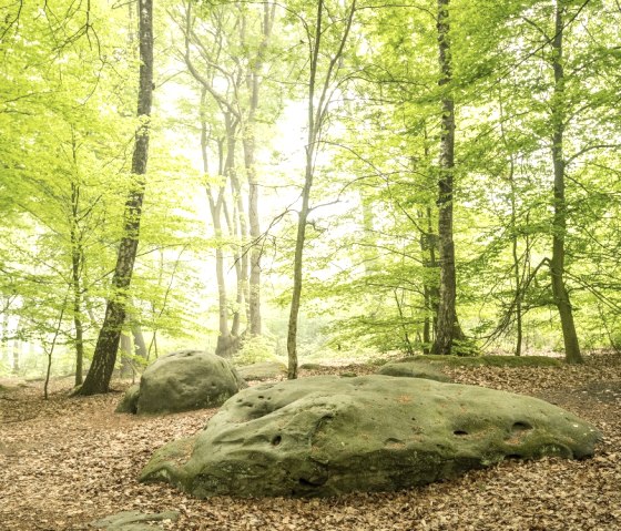 Zyklopensteine, © StädteRegion Aachen