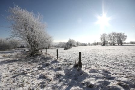 Eifelblick Steling, © Naturpark Nordeifel