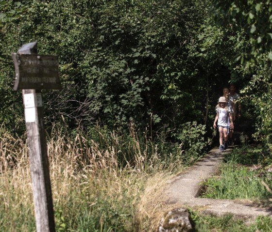 Wanderung auf dem Wanderweg Nr. 21 Westwall-Eifelkreuz, © Eifel Tourismus GmbH, T. Vollmer