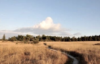 Vennlandschaft, © Stadt Monschau