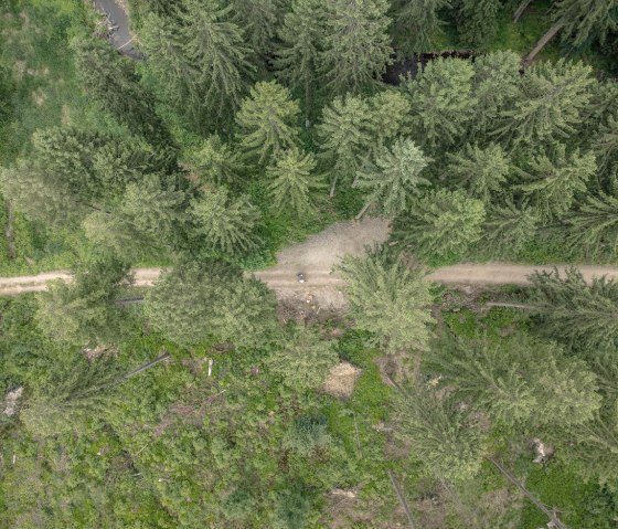 Wald im Vichttal, © StädteRegion Aachen