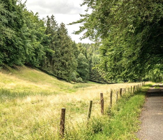 Tiefenbachtal, © Eifel Tourismus GmbH