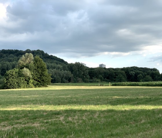 weite Landschaften entlang des Weges, © StädteRegion Aachen