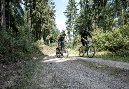 Mountainbike Fahrer, © Kreis Düren - Freifahrt Eifel