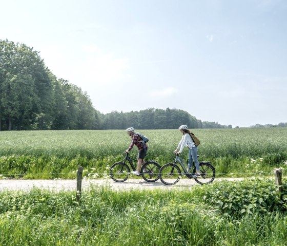 Radweg in der Nähe von Seffent, © Eifel Tourismus GmbH