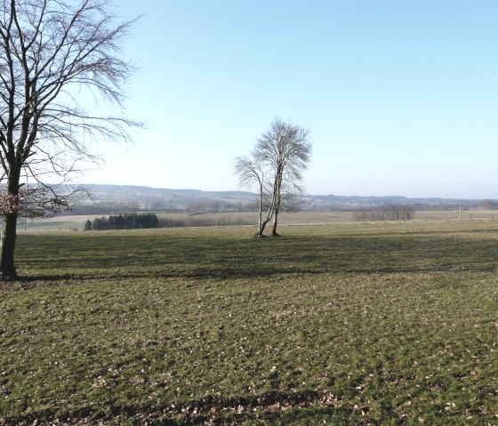 Ausblick Eifellandschaft, © Bernd Läufer