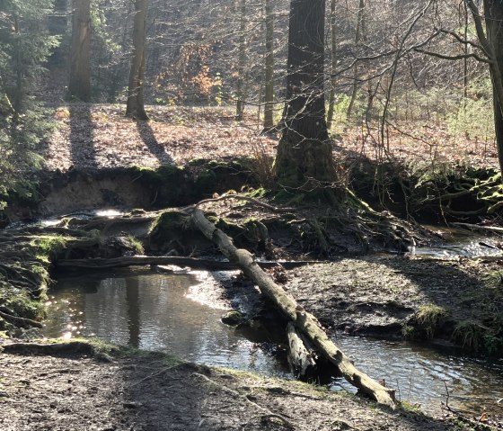 Beverbach, © StädteRegion Aachen