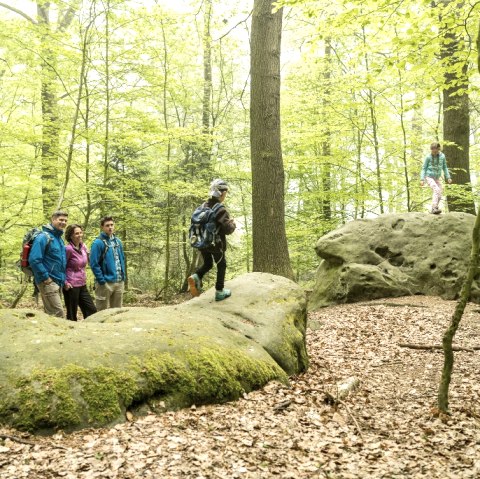 Zyklopensteine, © Grünmetropole e.V.