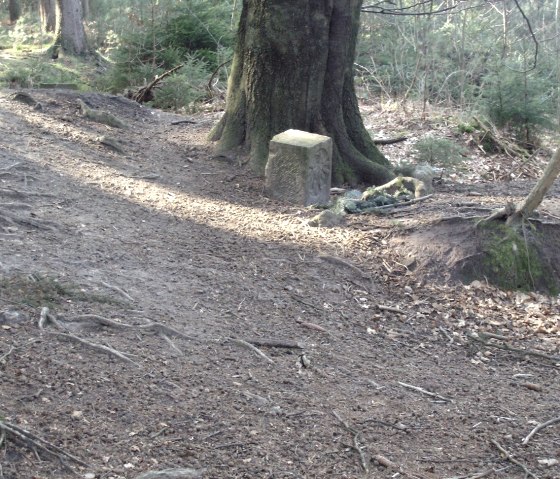 Adlerstein am Aachener Landgraben nähe Köpfchen, © Andrea Borowski