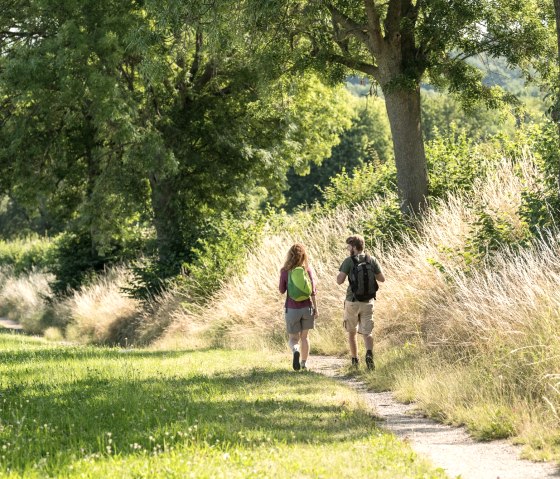 Imstenraderbos, © Grünmetropole e.V.