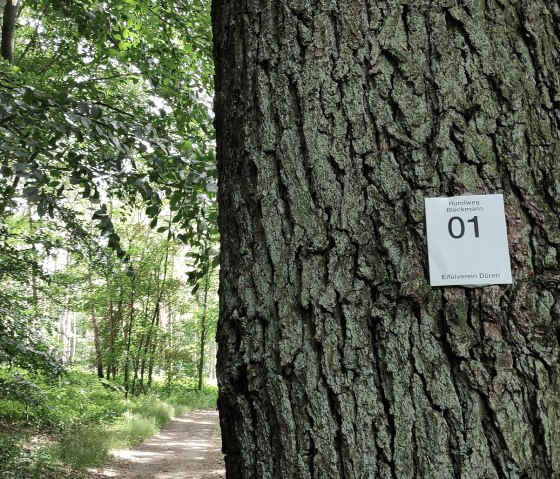 Signpost in the forest of Burgau Castle, © Kreis Düren