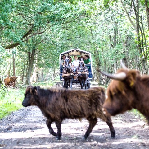 Sterrenroute Schinveldse, © Visit Zuid Limburg