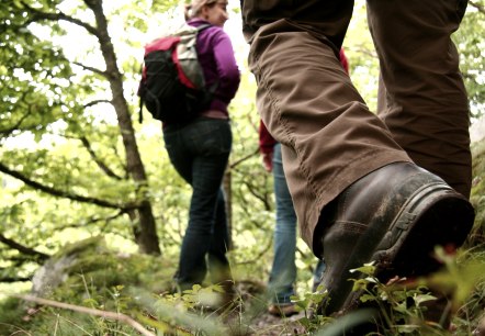 Auf dem Wildnistrail, © G. Priske