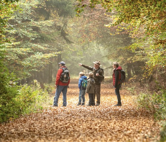 Mit dem Ranger unterwegs im Kermeter, © Nationalpark Eifel, Dominik Ketz