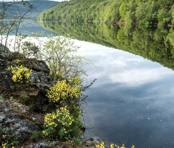 Rurseeufer, © StädteRegion Aachen