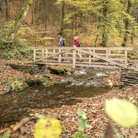 Schrauffweg Püngelbach, © Eifel Tourismus GmbH