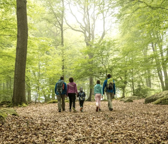 Aachener Wald- Grenzübergang Köpfchen, © StädteRegion Aachen