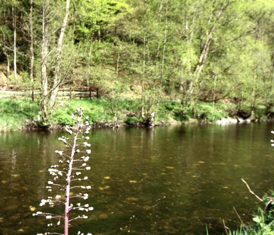 Rur valley, © Kempen