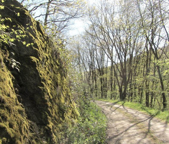 Wanderweg Nationalpark Eifel, © StädteRegion Aachen