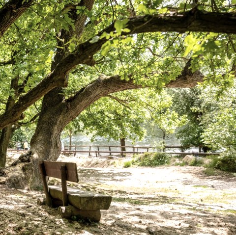 Nell-Breuning-Haus Wanderroute, © Unbekannt