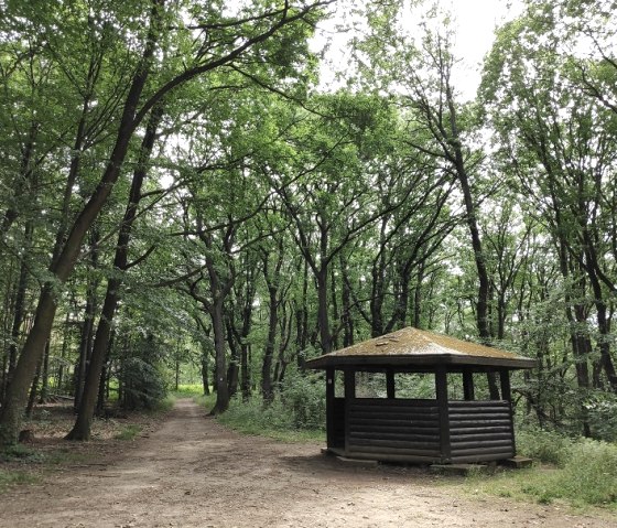 Schutzhütte im Wald von Schloss Burgau, © Kreis Düren