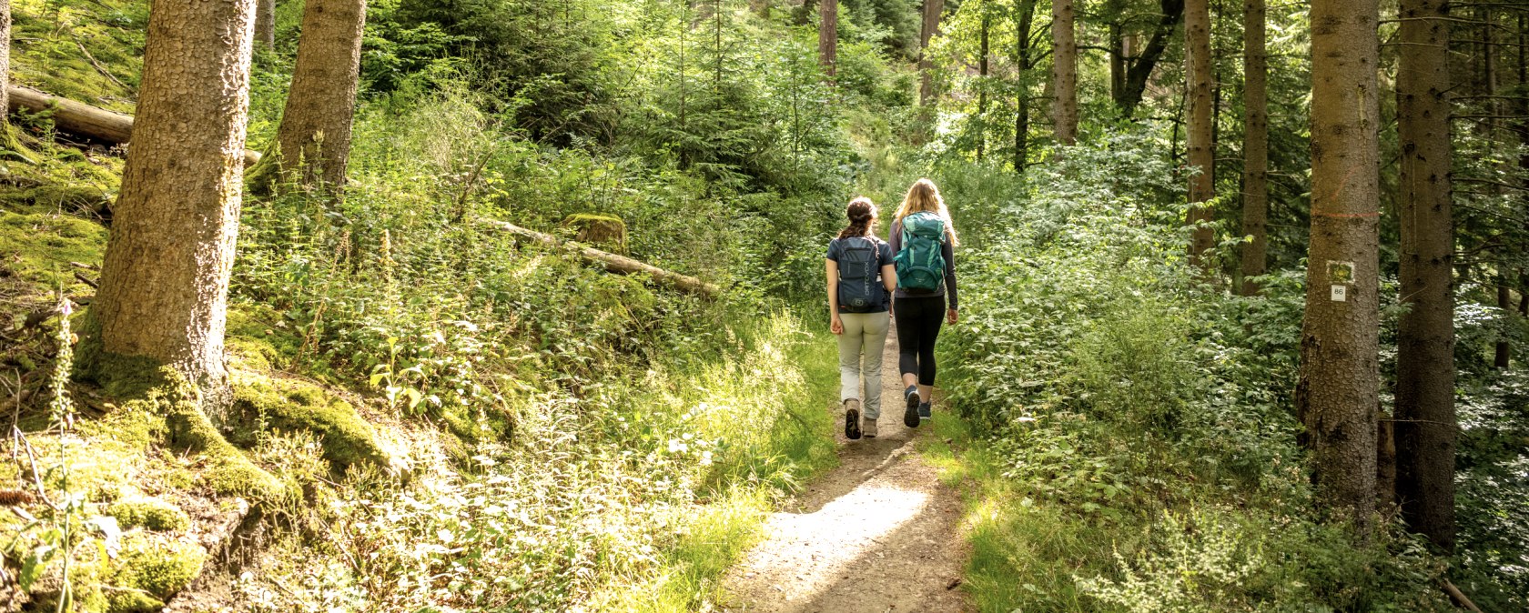 wandern auf der 86 - Große Rurtal-Runde, © Städteregion Aachen, Dominik Ketz