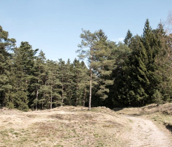 Flora-Fauna-Habitat-Gebiet Schlangenberg, © Eifelverein e. V.