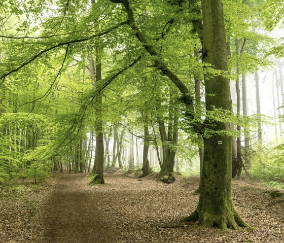 Aachener Landgraben (Grenzübergang Köpfchen), © Grünmetropole e.V.