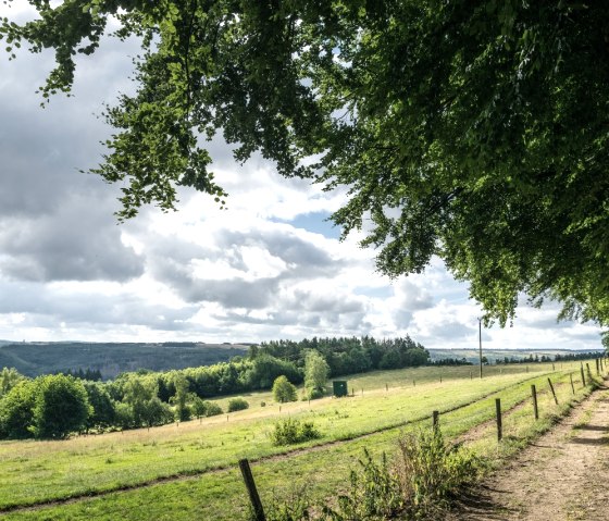 Wandern auf dem Rursee-Höhenweg, © StädteRegion Aachen