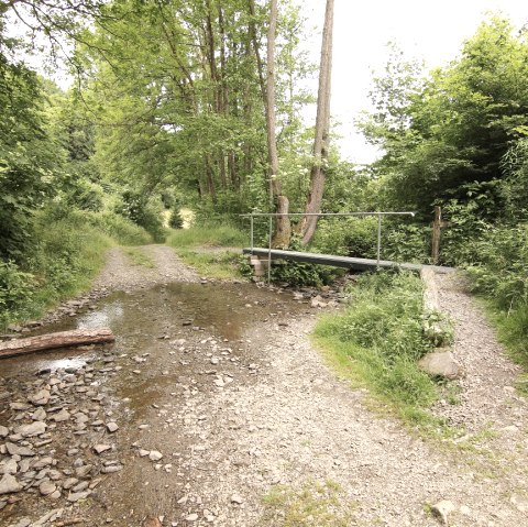 Riffelsbach circuit, © Rursee-Touristik
