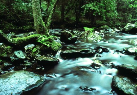 Rurtal, © Archiv Eifel Tourismus GmbH - Hans-Jürgen Sittig
