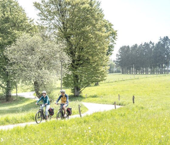 Eifellandschaft bei Kalterherberg, © Eifel Tourismus GmbH