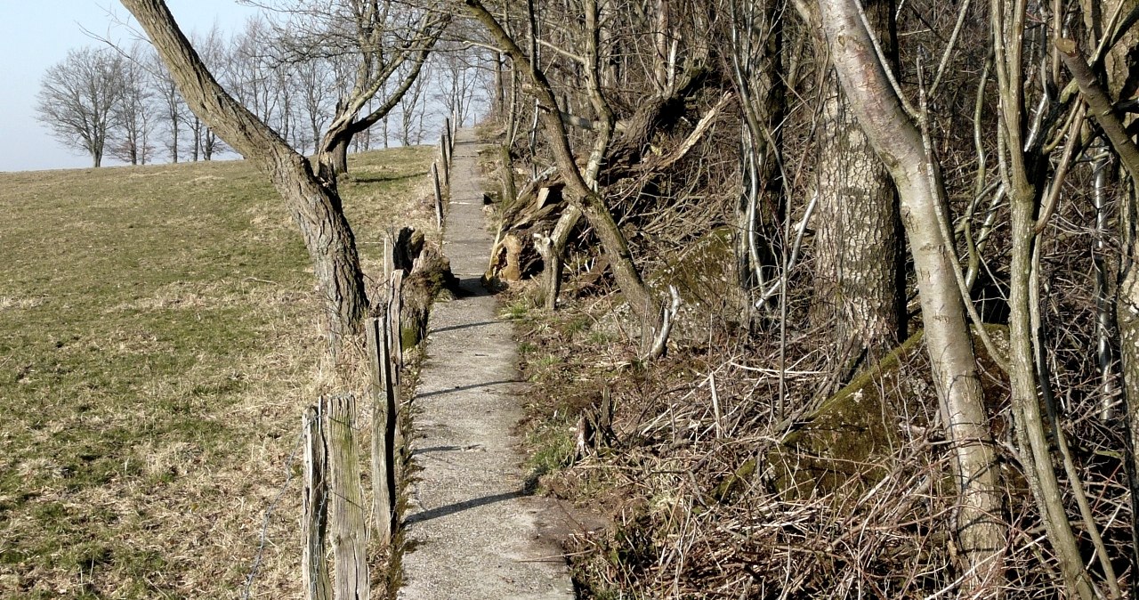 Eifellandschaft, © Bernd Läufer