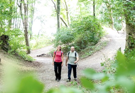 Reinartzkehl im Aachener Wald, © Eifel Tourismus GmbH