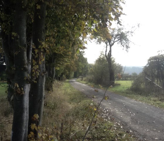 Wanderweg bei Xhoffraix, © StädteRegion Aachen