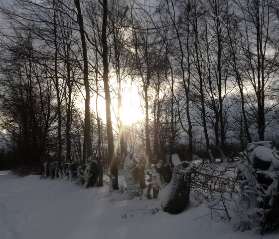 Winterlandschaft Eicherscheidt, © StädteRegion Aachen