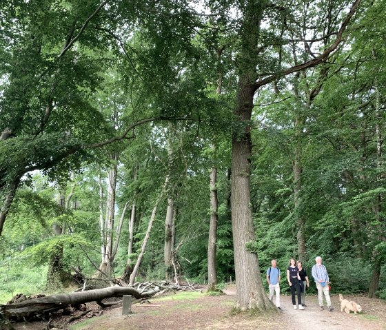 Landgraben, © StädteRegion Aachen