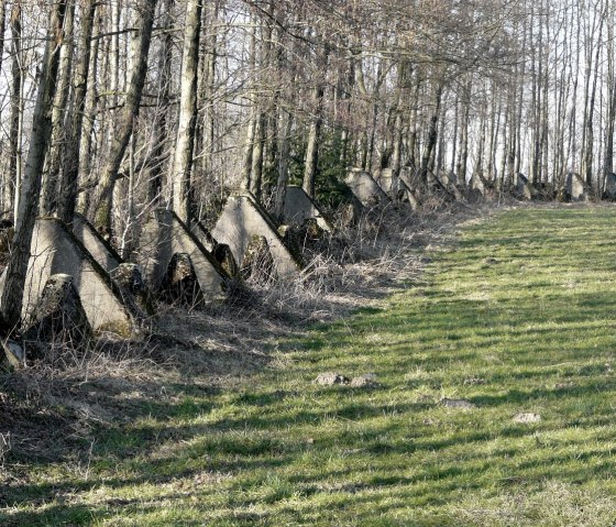 Drachenzähne/Westwall, © Bernd Läufer