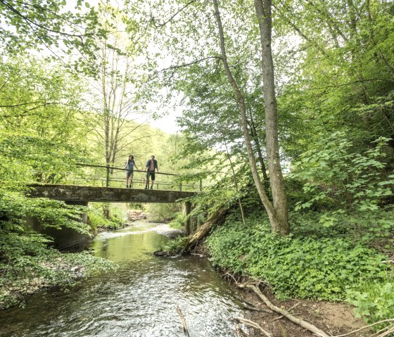 Salmtal, Eifelsteig stage 14, © Eifel Tourismus GmbH, D. Ketz