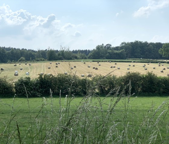 Köpfchen, © StädteRegion Aachen