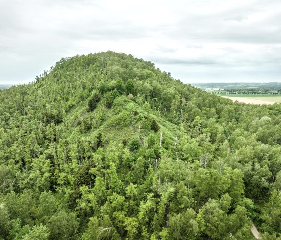 Halde Grube Adolf, © StädteRegion Aachen