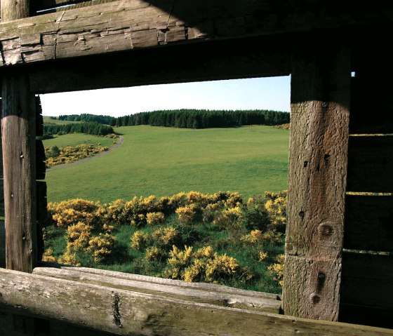 Dreiborner Hochfläche - Am Eifelsteig, © Rursee-Touristik