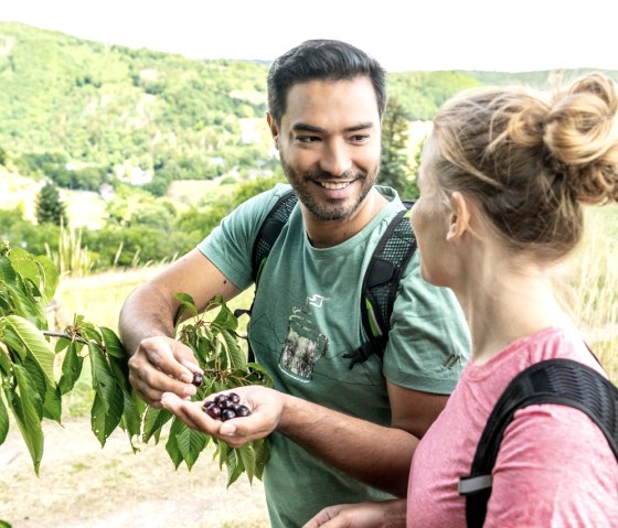 Eifelsteig Dedenborn, © Eifel Tourismus GmbH