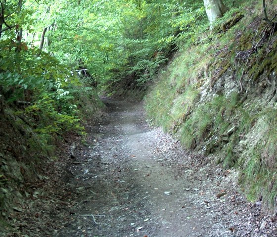 tiefer Hohlweg in Erkensruhr, © StädteRegion Aachen