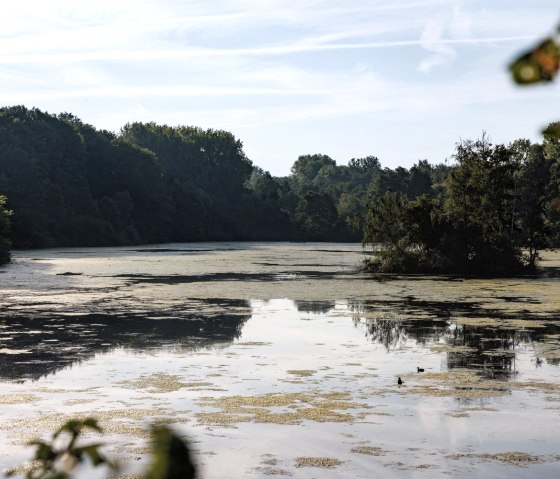 Weiher Herzogenrath, © Eifel Tourismus GmbH