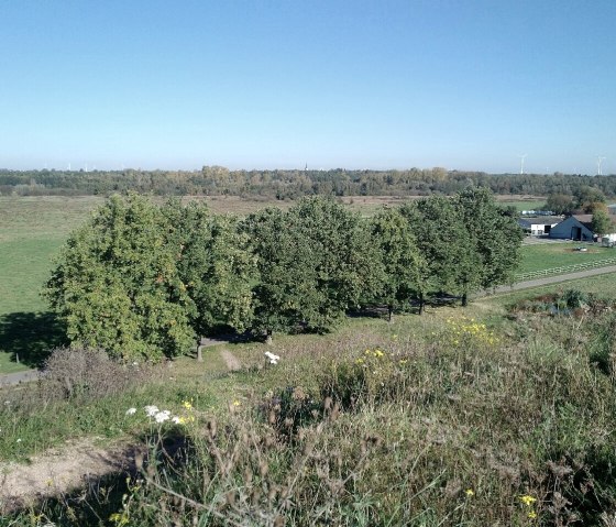 Ausblick vom Bovenmeer auf Bauernhof, © Outdooractive Redaktion