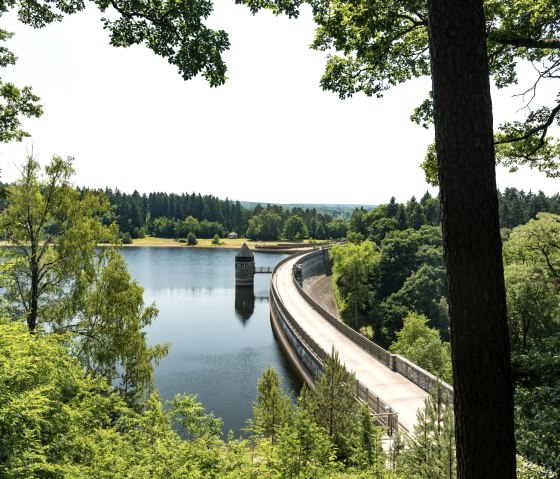 Staumauer im Wald mit Blick auf den See und umgebende Bäume., © Eifel Tourismus GmbH, D. Ketz