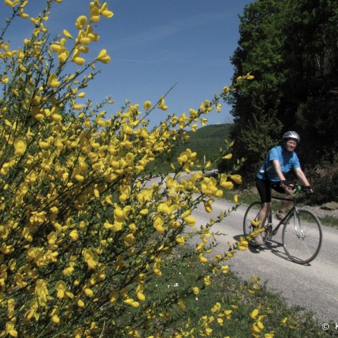 Radfahrer auf der Dreiborner Hochfläche, © K. Winter